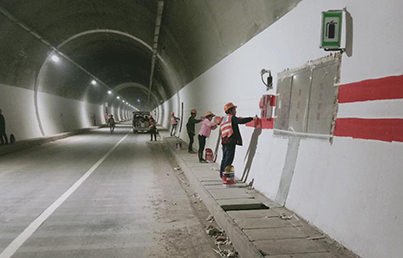 四川无机涂料性能介绍