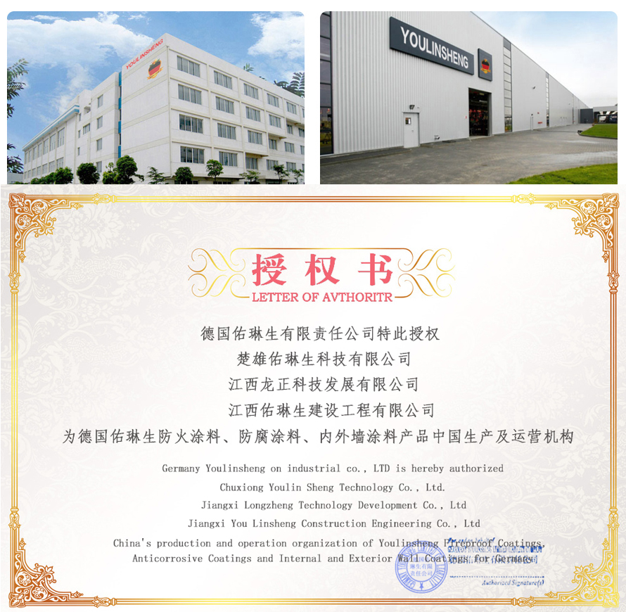 江西龙正科技发展有限公司